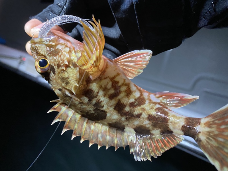 ボートアジング