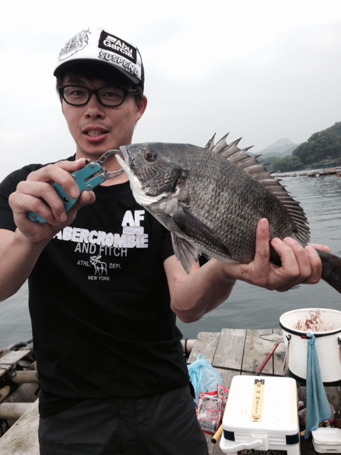 【京都府舞鶴市】筏のチヌ釣り釣果情報