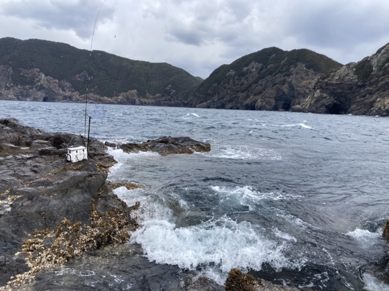 40年ぶり超寒波到来の愛媛県愛南町へ!