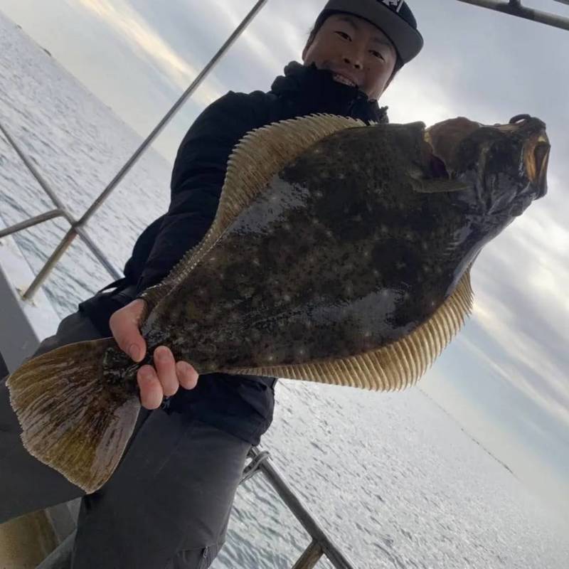 兵庫県垂水の船釣りでアカメフグ、アイナメ、カレイ、ヒラメ釣果