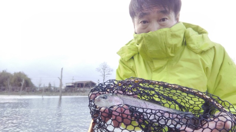 滋賀県高島の泉にてミノー等でニジマス・ロック・ブラウン釣果