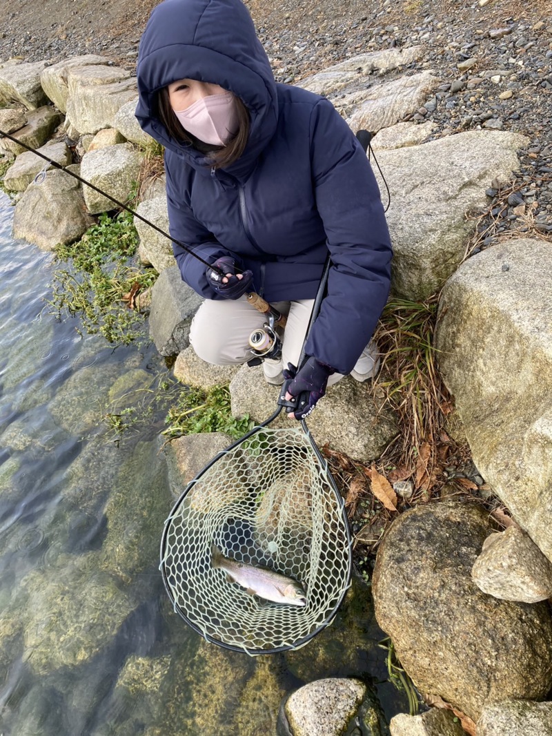滋賀県高島の泉にてミノー等でニジマス・ロック・ブラウン釣果