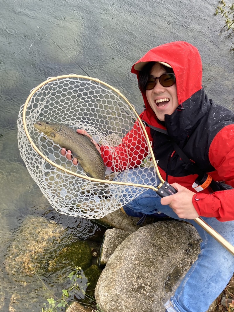 滋賀県高島の泉にてミノー等でニジマス・ロック・ブラウン釣果