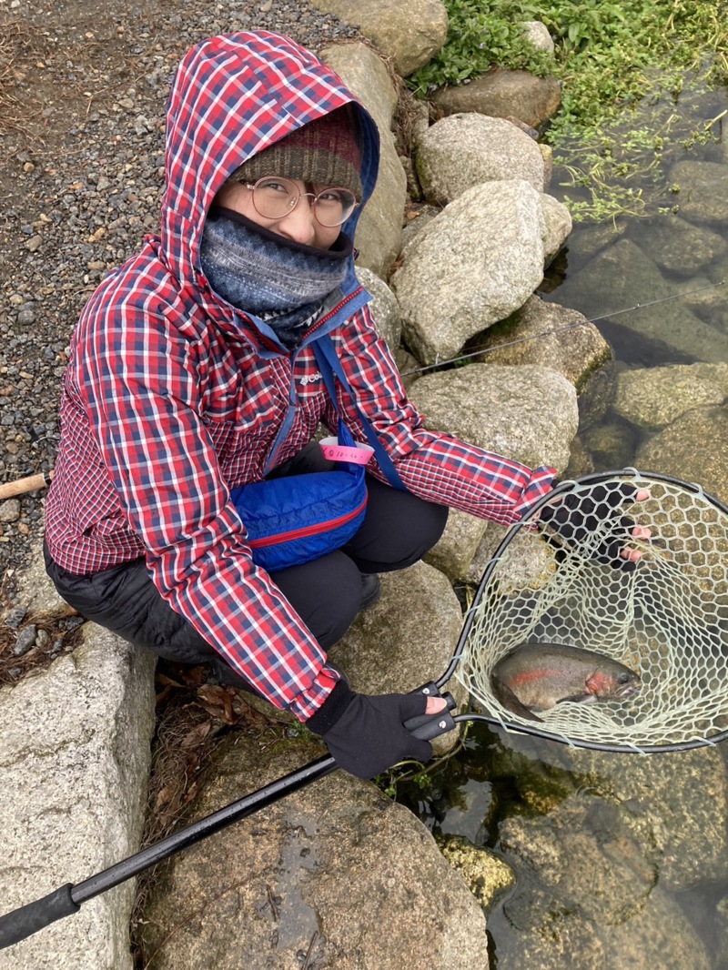 滋賀県高島の泉にてミノー等でニジマス・ロック・ブラウン釣果