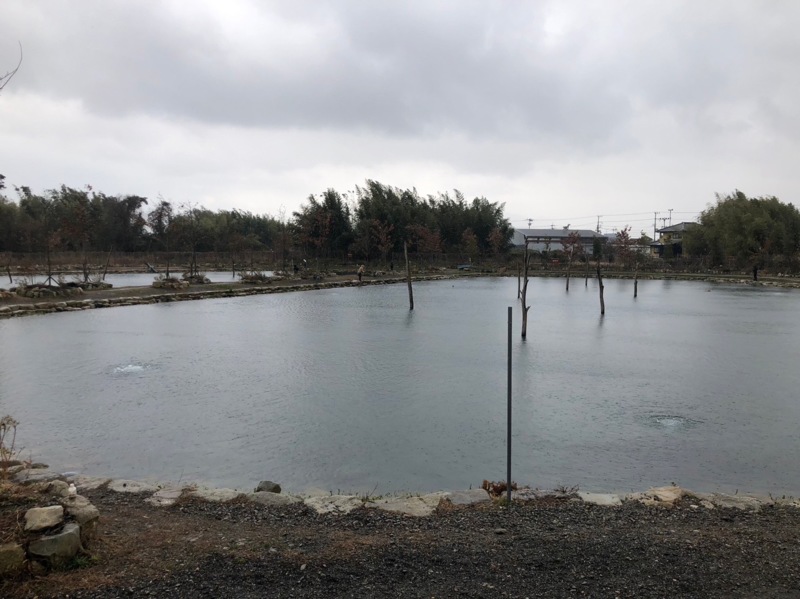 滋賀県高島の泉にてミノー等でニジマス・ロック・ブラウン釣果