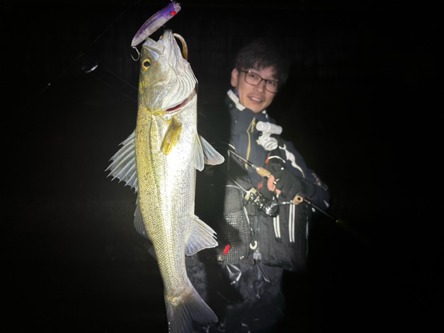 徳島県の河川をウェーディングでシーバス釣果