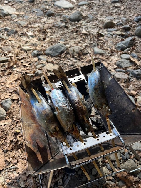 大阪府高槻市の芥川マス釣り場にてBBQとニジマス釣果