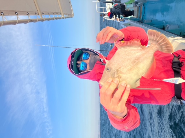 徳島県阿南の船釣りでカワハギ釣果