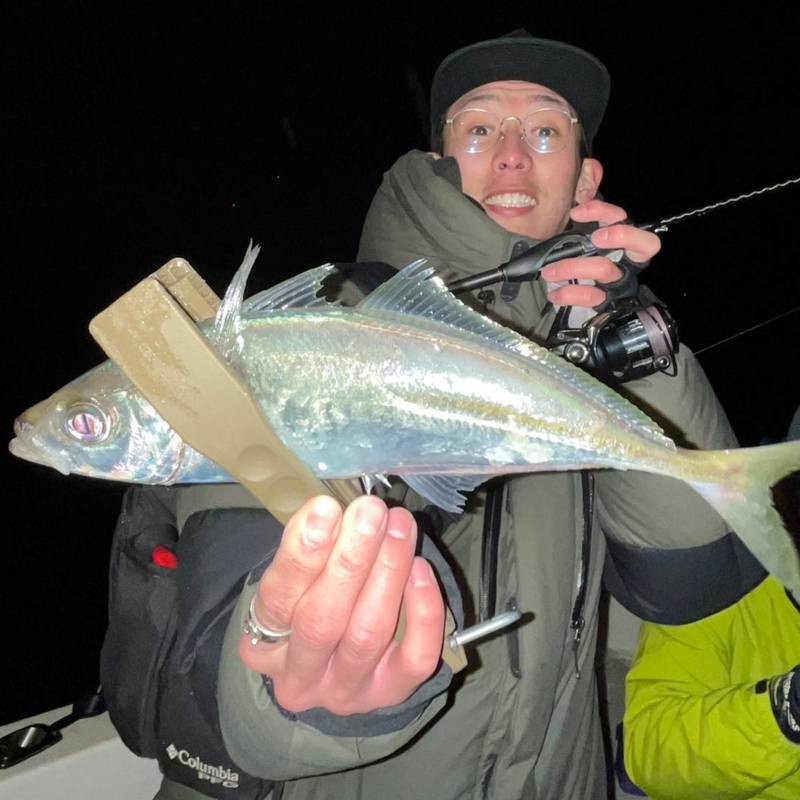 和歌山市にて極寒のボートアジングでマアジ釣果