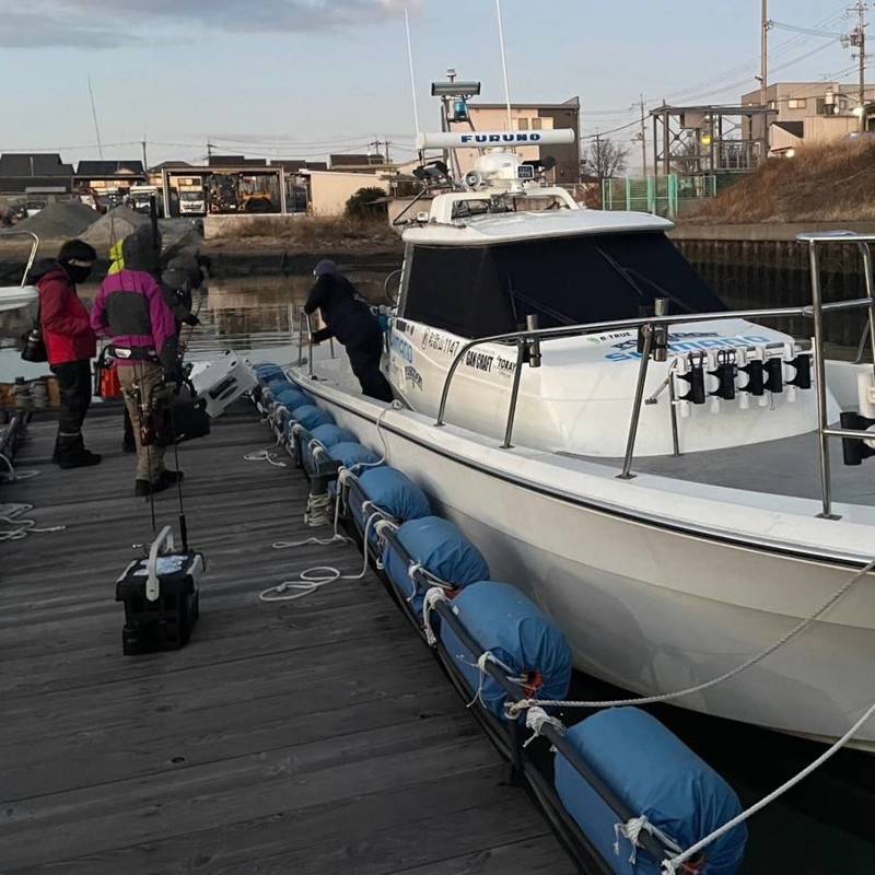 和歌山市にて極寒のボートアジングでマアジ釣果