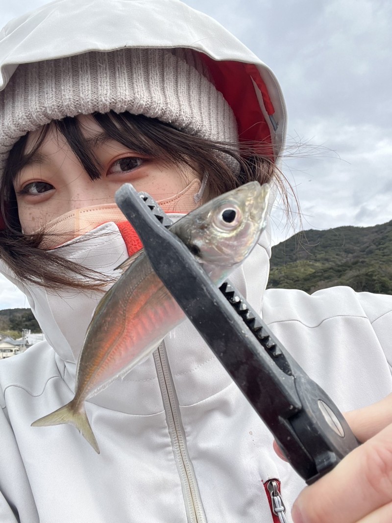 大阪府泉南の小島養魚場にてスプーンでサーモントラウト釣果