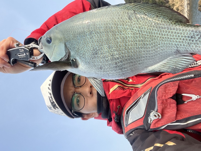 和歌山県日高町の磯ふかせでグレ釣果