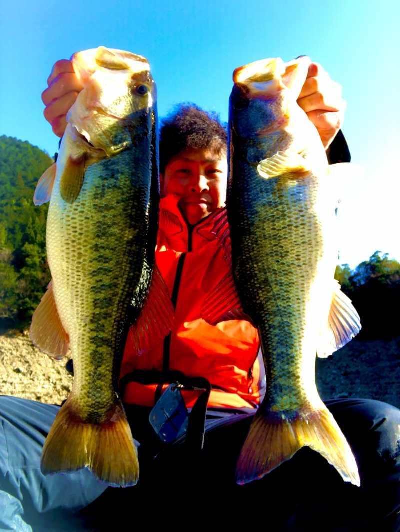 奈良県池原ダムのボートで晩冬のブラックバス釣果