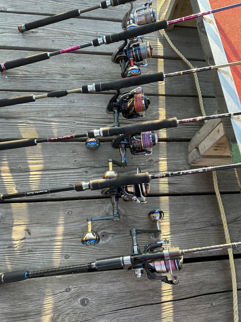 京都府宮津ジギングでブリ・マダイ釣果