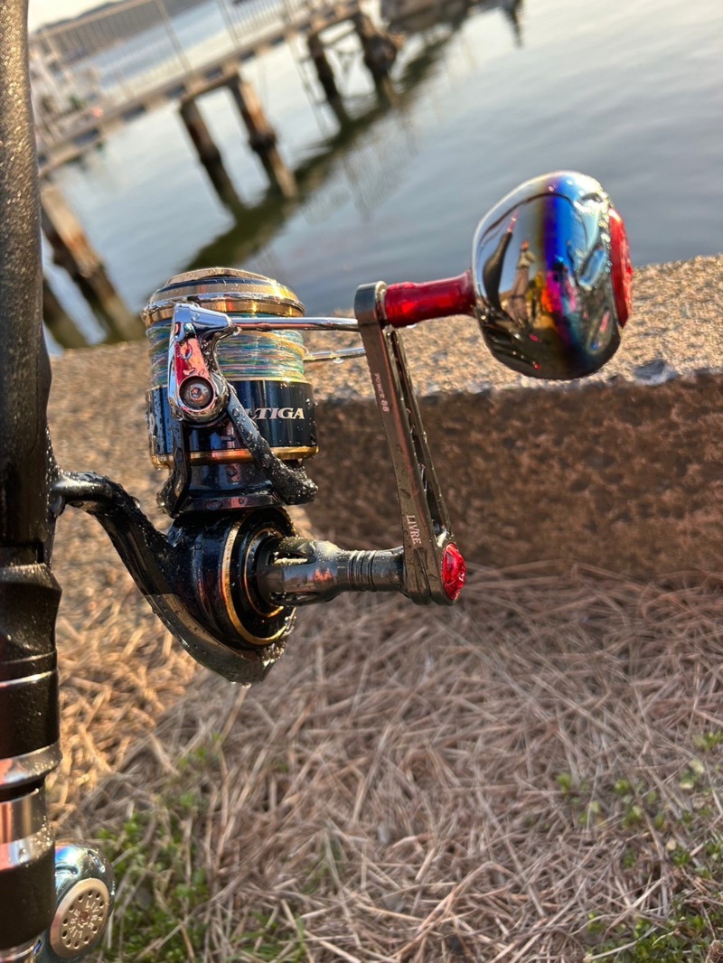 京都府宮津ジギングでブリ・マダイ釣果