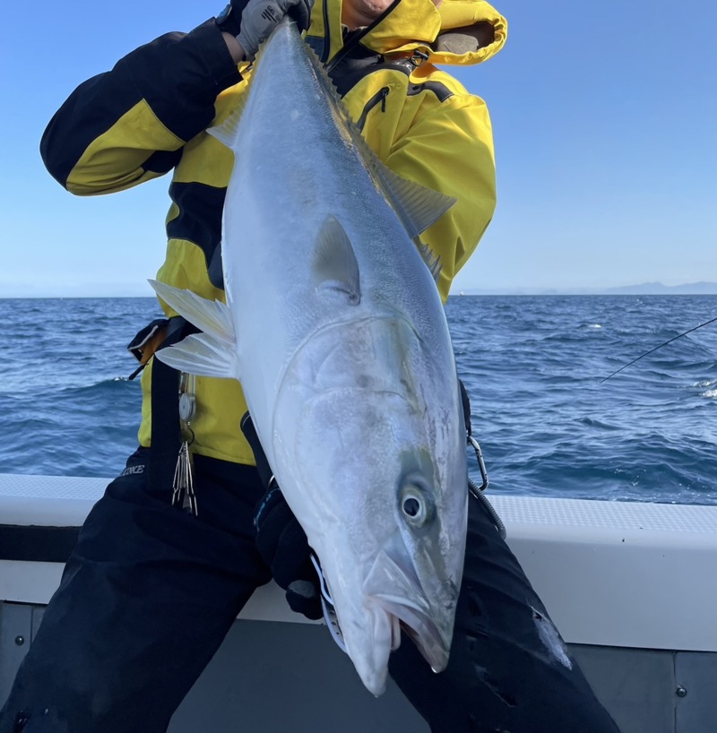 京都西舞鶴よりキャスティングとジギングで青物オニカサゴ釣果
