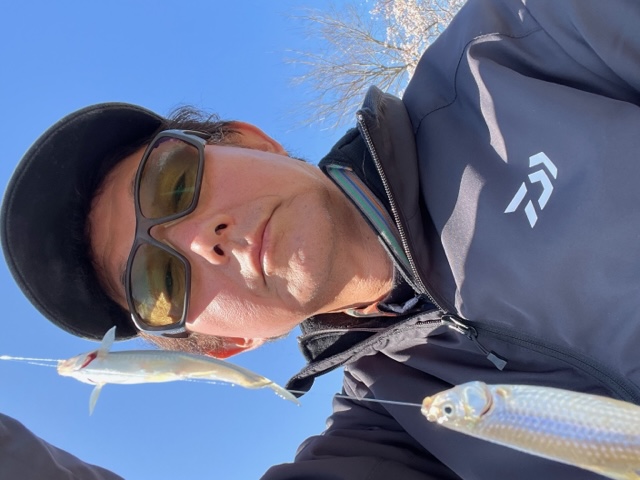 滋賀県愛知川から長浜間の浮き釣りでホンモロコ釣果