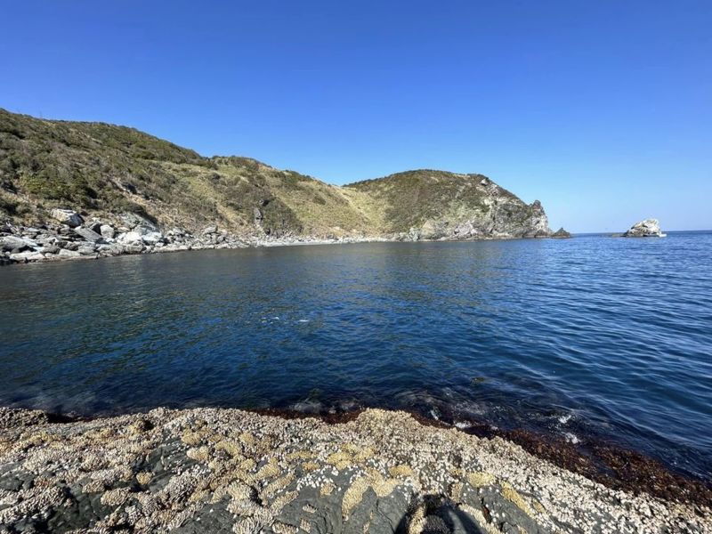 兵庫県淡路島より渡船で沼島の磯にてのっこみチヌ釣果