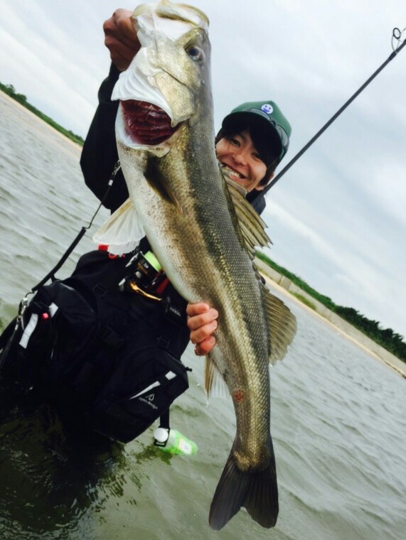 島根県宍道湖|中海・ルアー・シーバス釣果