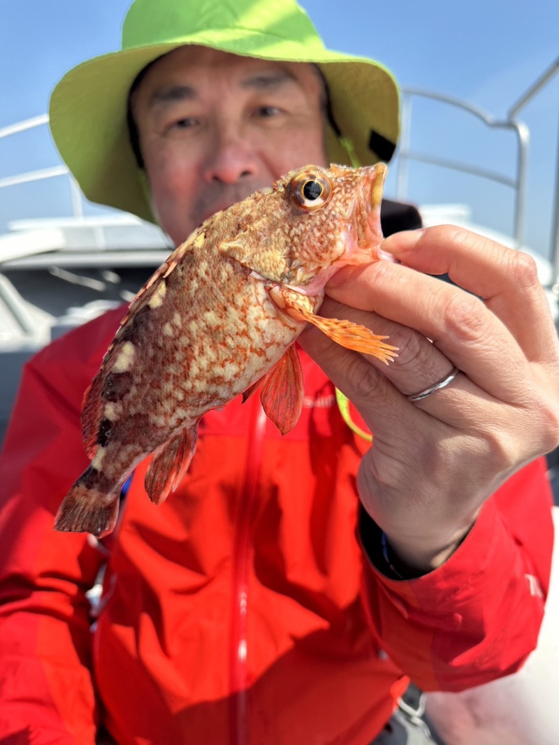 大阪府泉北忠岡より船釣り五目でガシラ釣果