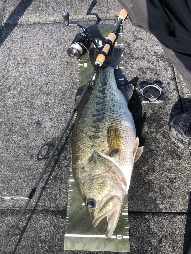 滋賀県大津市より琵琶湖レンタルボートでブラックバス釣果
