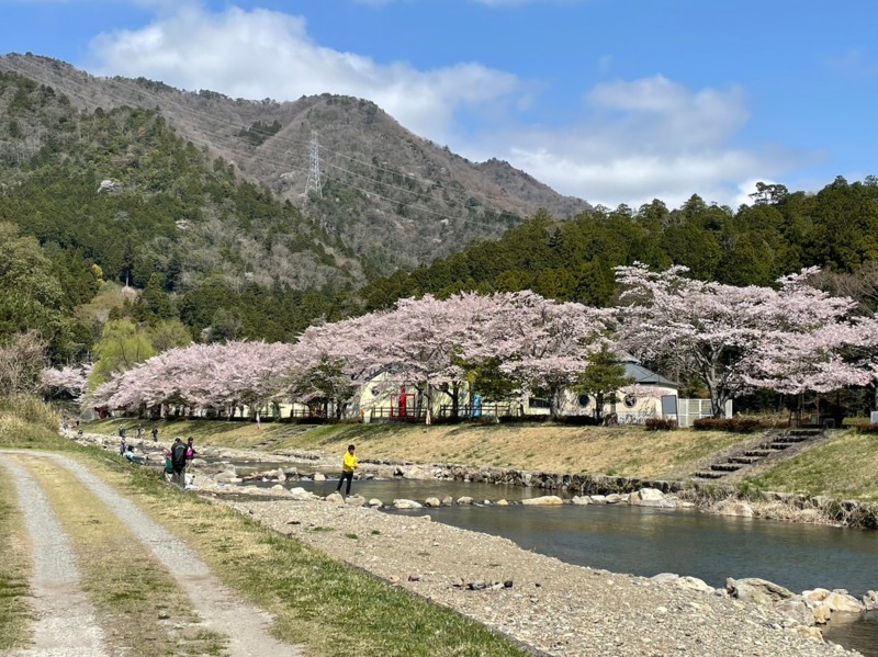 兵庫県三田市小柿渓谷のエサ・ルアーでアマゴ・トラウト釣果