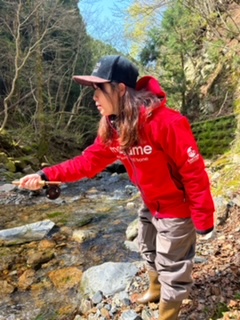 滋賀県愛知川上流にてフライでイワナ、アマゴ釣果