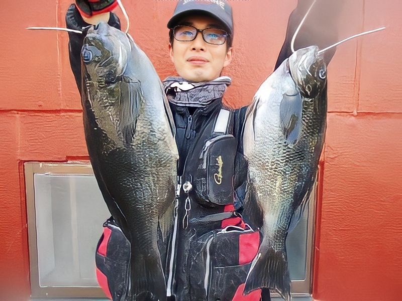 三重県尾鷲市の磯釣りでグレ釣果