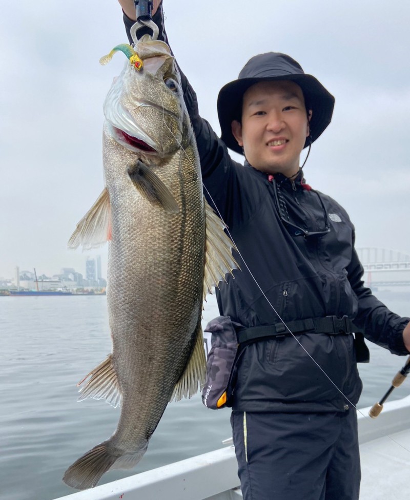 大阪府堺市からインショアゲームでシーバス釣果