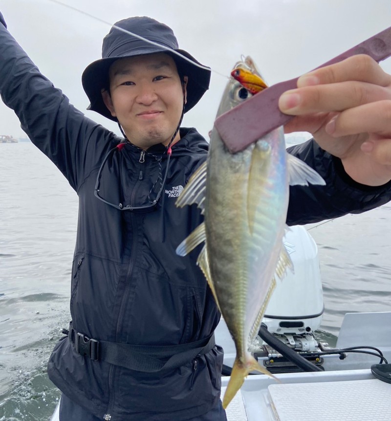 大阪府堺市からインショアゲームでシーバス釣果