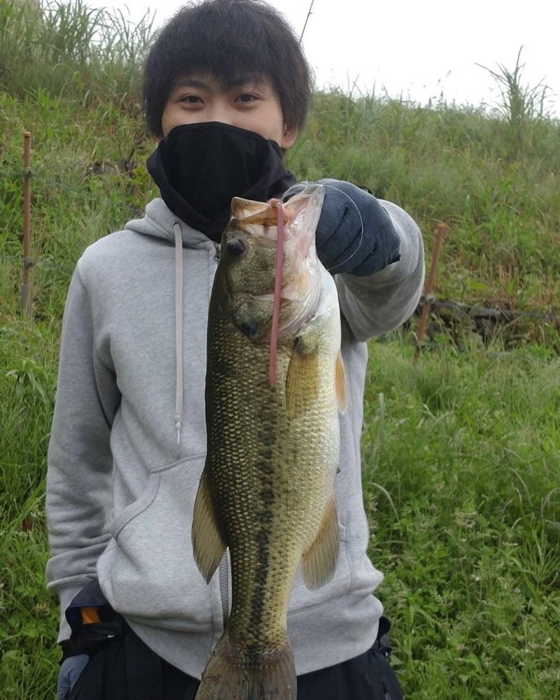 兵庫県淡路島オカッパリで春バス釣果