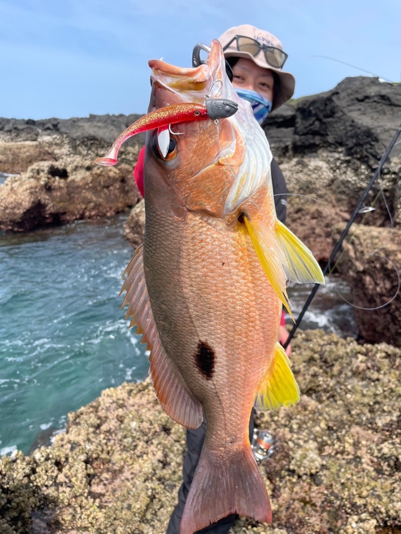 長崎県五島列島ロックショアでヒラスズキ釣果