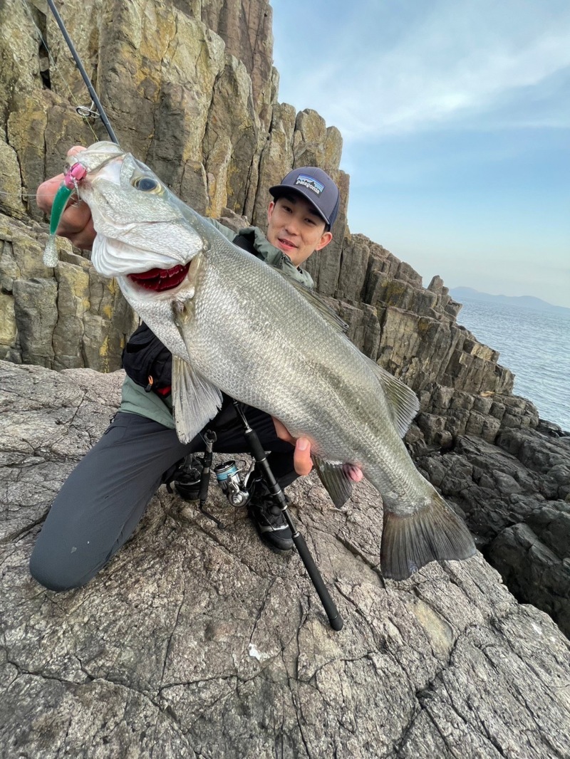 長崎県五島列島ロックショアでヒラスズキ釣果