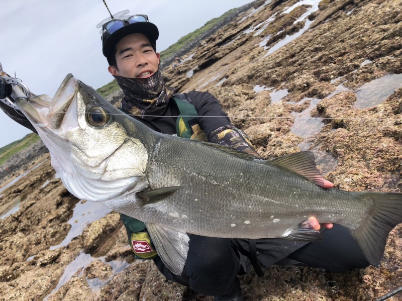 長崎県五島列島ロックショアでヒラスズキ釣果
