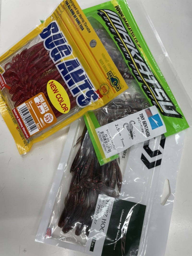 三重県引本浦ボートロックでアカハタ釣果