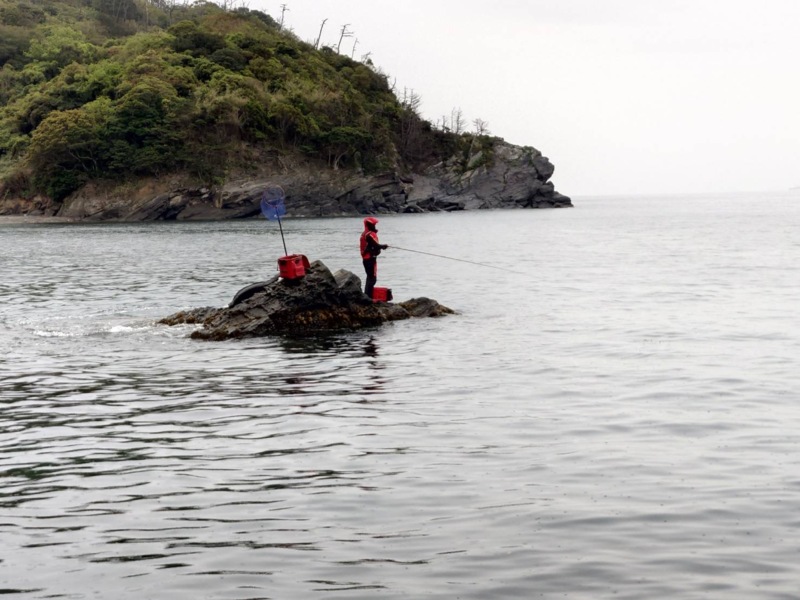 兵庫県南あわじ市から渡船で沼島のチヌ釣果
