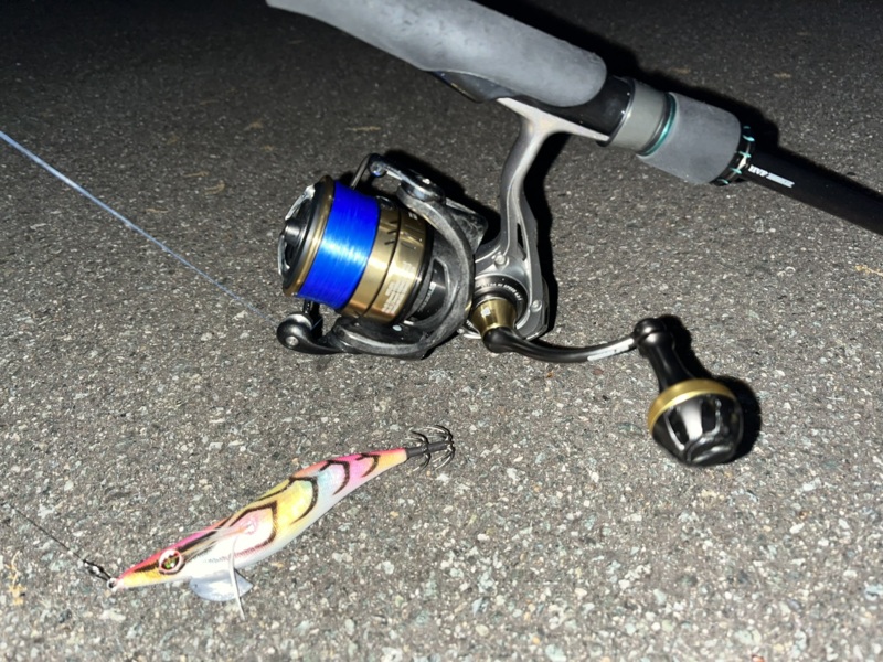 三重県のオカッパリエギングでアオリイカ釣果