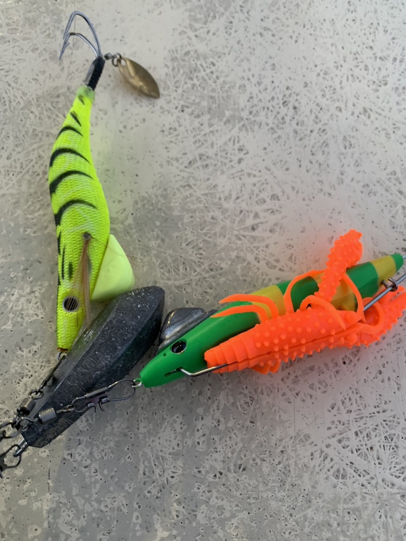 神戸市須磨から船釣りでタコ釣果