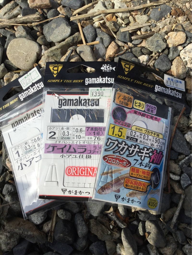 琵琶湖湖西志賀浜で春瀬湖畔仕掛けの小鮎釣果