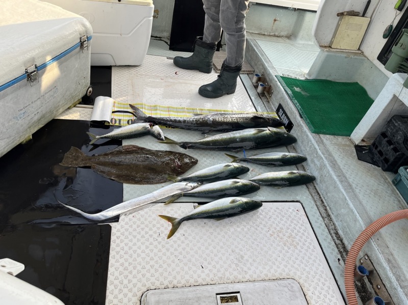 大阪湾の青物ジギング&キャスティングでハマチ釣果