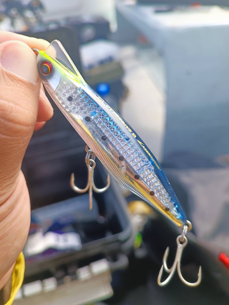 大阪湾の青物ジギング&キャスティングでハマチ釣果