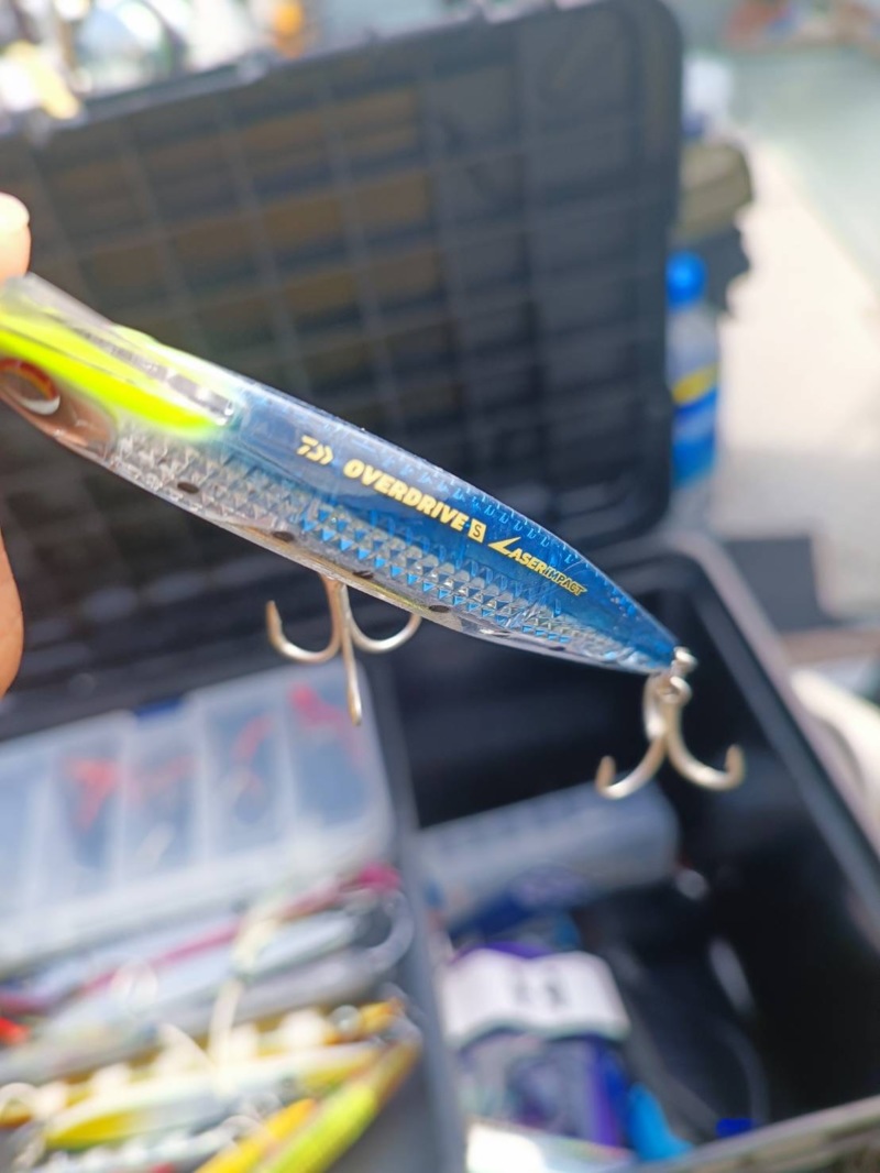 大阪湾の青物ジギング&キャスティングでハマチ釣果