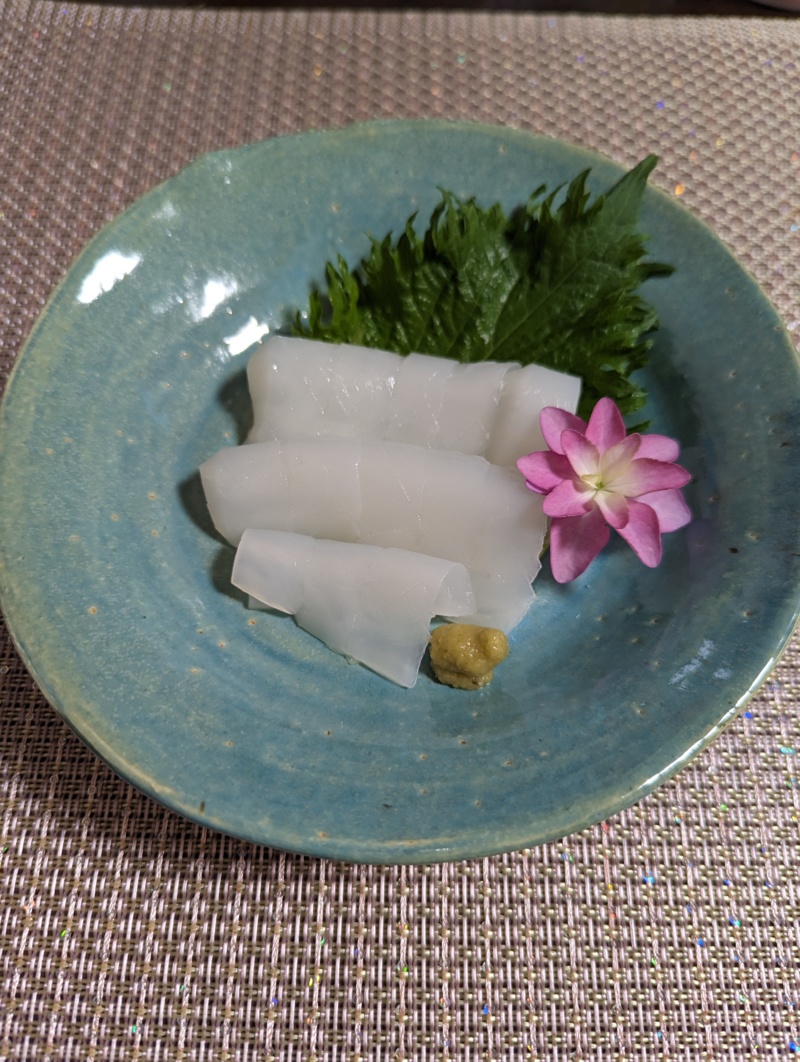 鳥取賀露港の北祐丸イカメタルでケンサキイカ釣果