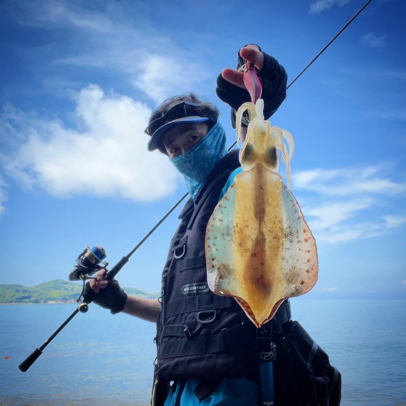 三重県のエギングでデカイカ狙い釣果