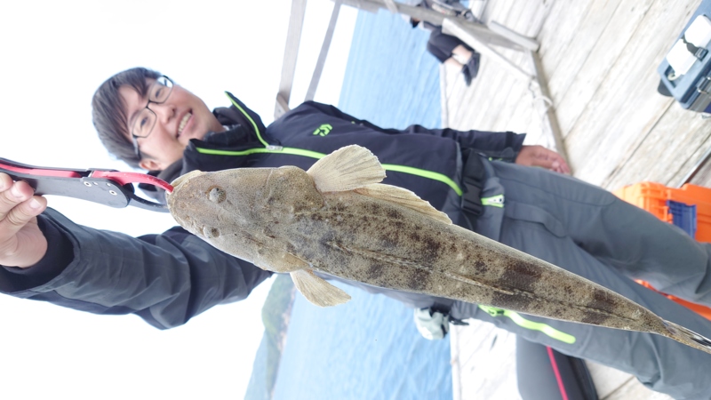 三重県ショアロックゲームのスイミングででアカハタ釣果