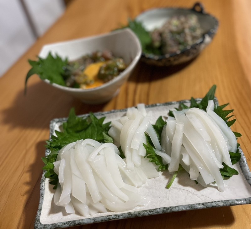 京丹後浅茂川港の勝丸でオバマリグ・ワームでイカ/アジ釣果