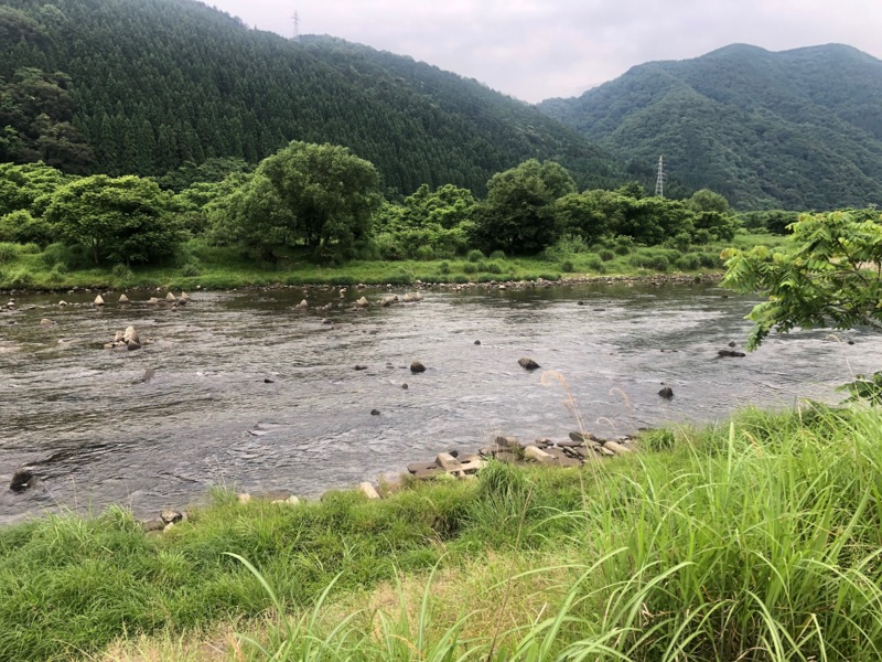 6/6 矢田川 友釣り釣行