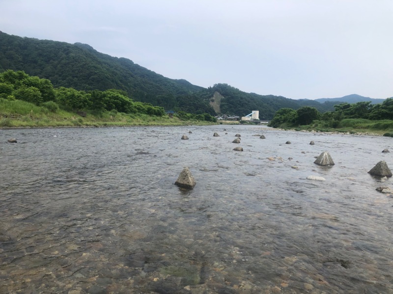 6/6 矢田川 友釣り釣行