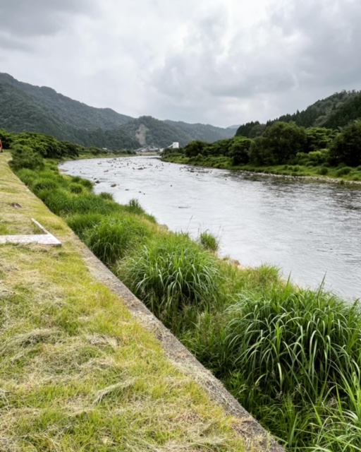 矢田川鮎釣り
