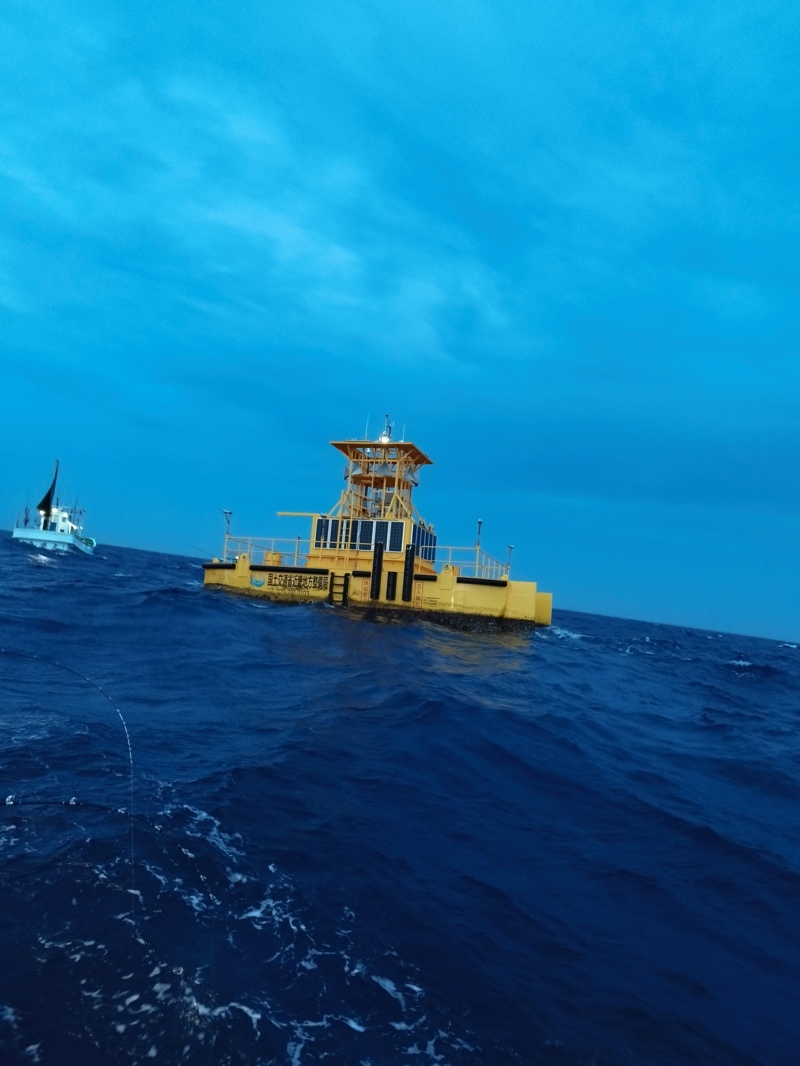 絶好調!和歌山波浪ブイカツオ